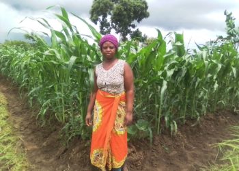 Chrissy stands in front of a maize field.