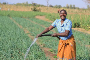 Malawi woman smiles while watering her crops