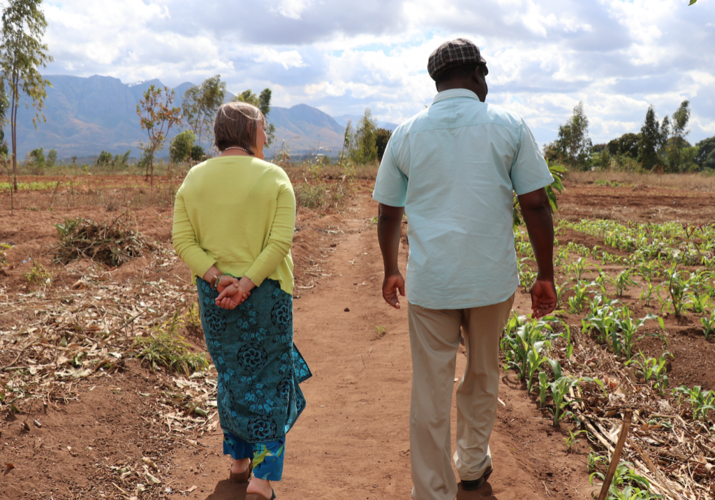 Screen-Shot-2018-12-20-at-11.39.01-AM