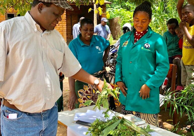 Screen-Shot-2020-03-05-at-4.37.35-PM