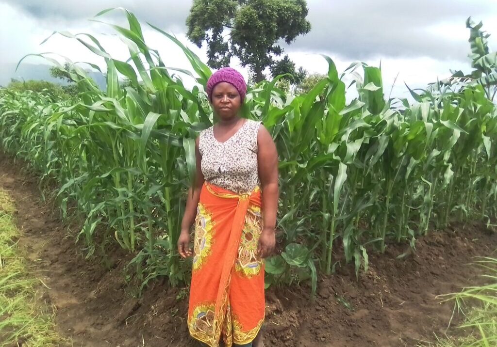 Chrissy stands in front of a maize field.