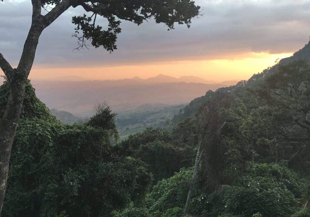 Zomba-e1496775936531